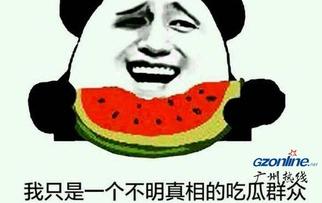 表情吃瓜是啥意思啊,表情吃瓜的含义与趣味